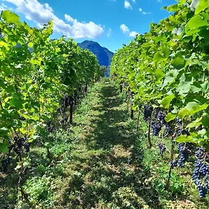  Vakantieboerderij Cascina Teresina